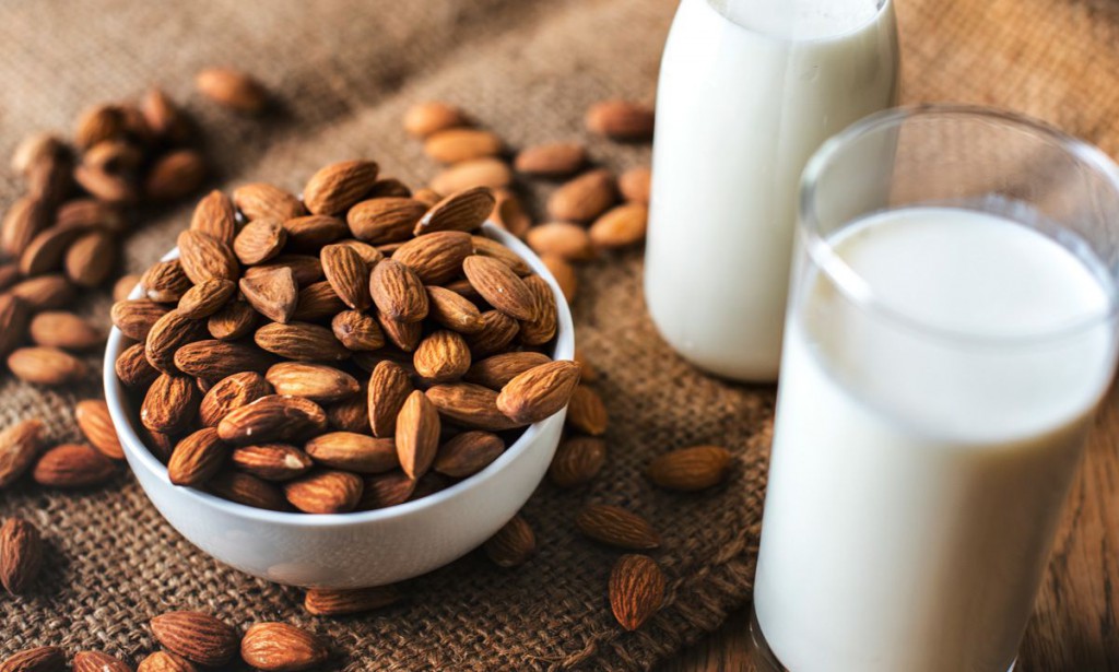 Duo no prodesset honestatis latine epicuri